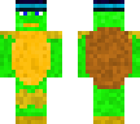 nice turtle