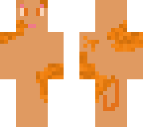 orange cat
