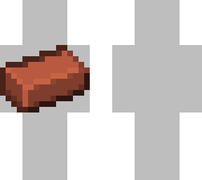 bricks