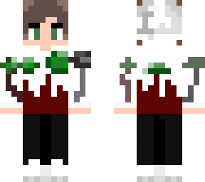 frozen biome boy