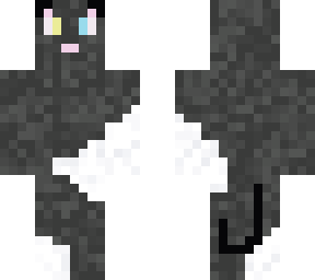 gray and white cat
