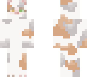 cat 5