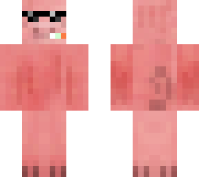 cool pig