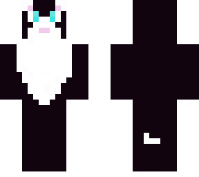 black and white cat