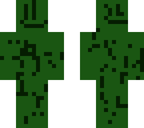 cactus bui