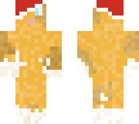 cat in christmas hat