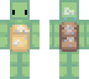 cloudy turtle boyo