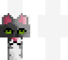 my cat