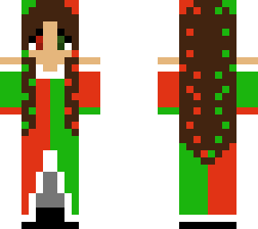 sra noel