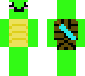 a turtle