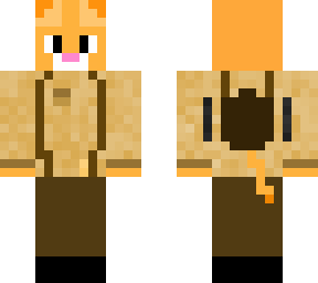 gato explorador