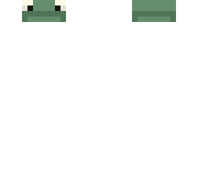 turtle hat
