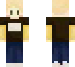 ashton idiot skin :)