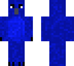 blue rock thrush