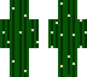 cacti