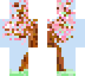 japanese cherry blossoms!