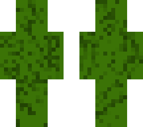the lizard