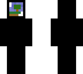 computer skin