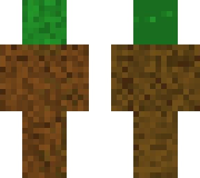 dirt skin