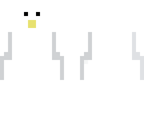 seagull