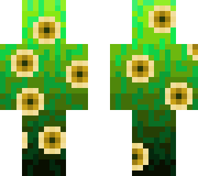 sunflower fields