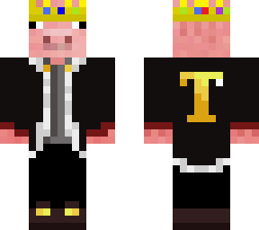 technoblade anarchy skin