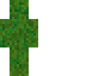 camo skin
