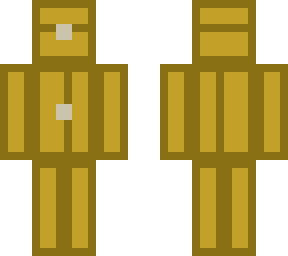 human chest