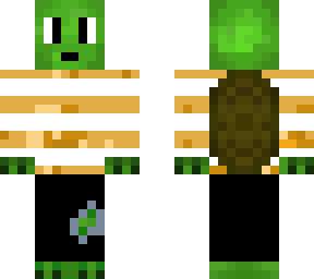 turtle