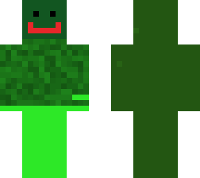 turtle man