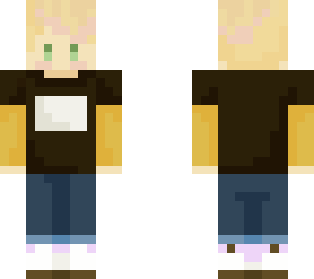 ashton idiot skin