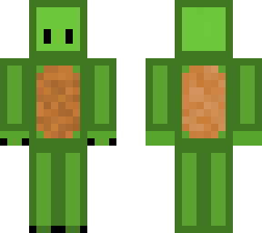 turtle