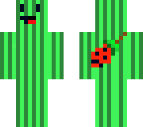 watermelon skeppy