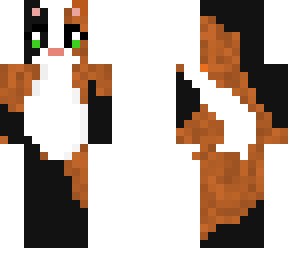 calico cat