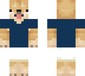 doge con ropa ._,xd