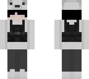 dsgs