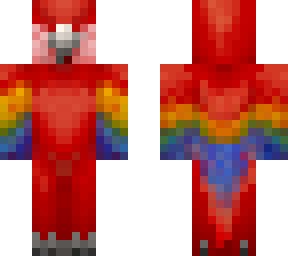 macaw