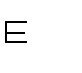 e skin