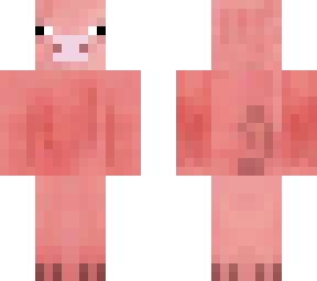 pig
