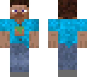 the steve (minecraft steve)