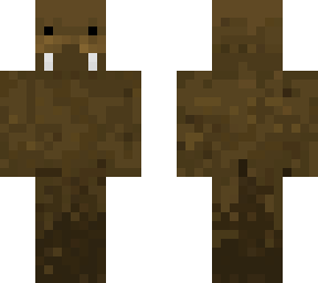 walrus