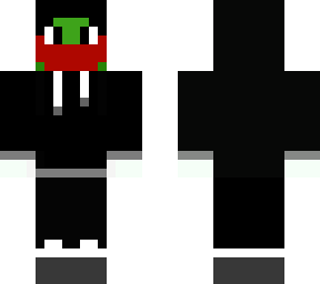turtle with black hoodie