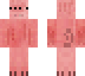 cute pig
