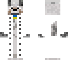 dog in lab jacket