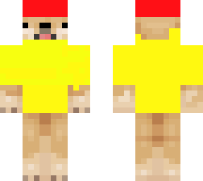 dog with red hat and yellow t shirt