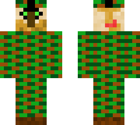soldier villeger