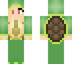 turtle maya 1