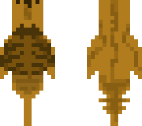 horseshoe crab