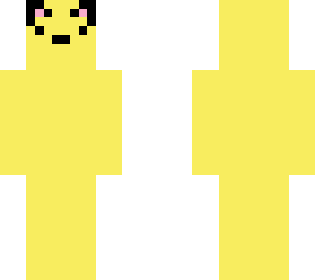 cat yellow