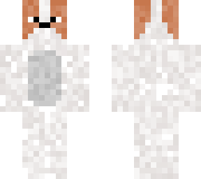 asko puppy's skin